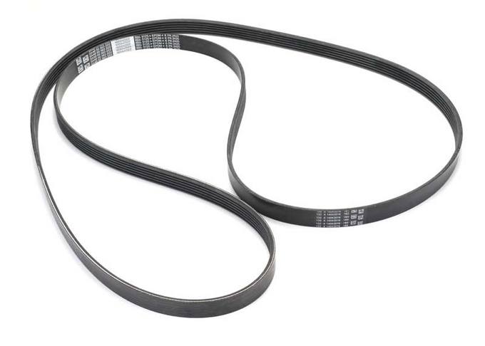 SAAB Accessory Drive Belt (6K 2415) (Short Belt) 55563222